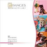 マイザ 匠IMAGES Vol.036 歳時の写真素材 四季の子犬 XAMTK0036