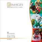 マイザ 匠IMAGES Vol.037 歳時の写真素材 四季の子猫 XAMTK0037