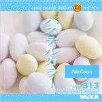 マイザ MIXA IMAGE LIBRARY Vol.313 パステルカラー XAMIL3313