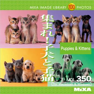 マイザ MIXA IMAGE LIBRARY Vol.350 集まれ!子犬と子猫 XAMIL3350