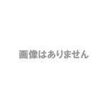 サンコー NoteBookCase for iPad2 KYBTINCA