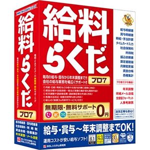 ビーエスエル 給料らくだプロ7