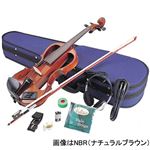 Hallstatt ElectricViolin 4／4Size EV30／SBK