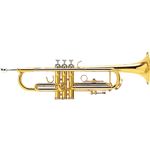 Trumpet Color：Gold HTR36／GD