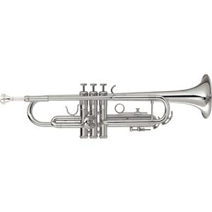 Trumpet Color：Silver HTR38／SV