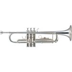 Trumpet Color：Silver KTR35