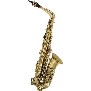 Heinrich Alto Saxophone HAL-69／GD