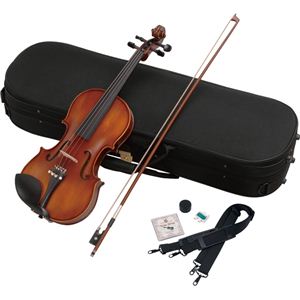 Hallstatt Violin 4／4Size V22 - 拡大画像