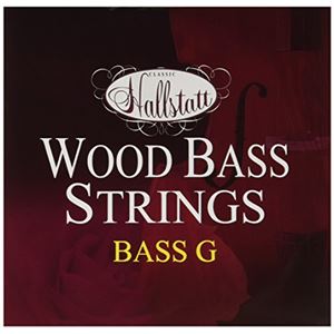 Hallstatt ハルシュタット コントラバス弦/ウッドベース弦 1弦G用 HWB-1 (G) 商品画像