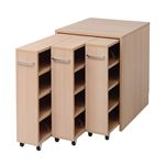 1cmピッチ隙間収納 収納BOX ロータイプ D59.5用 3連セット YHK-0209SET3-NA