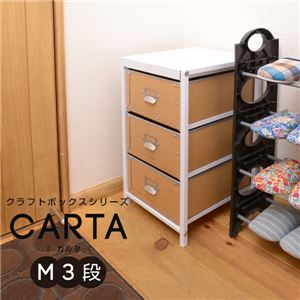 クラフトボックスシリーズ CARTA M3段 NOR-0001-WHNA - 拡大画像