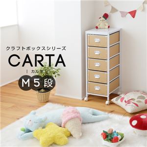 クラフトボックスシリーズ CARTA M5段 収納ボックス NOR-0003-WHNA - 拡大画像