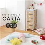 クラフトボックスシリーズ CARTA M5段 収納ボックス NOR-0003-WHNA