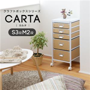 クラフトボックスシリーズ CARTA S3段M2段 収納ボックス NOR-0005-WHNA - 拡大画像