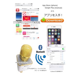 CICONIA カラオケミュージックマイク WMP-0001GD ゴールド CICONIA カラオケミュージックマイク WMP-0001GD ゴールド