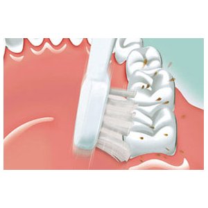 Primacy Mouth Care - プライマシィ歯磨きジェル《ダマスクローズ》【2個セット120g+30g】 Primacy Mouth Care - プライマシィ歯磨きジェル《ダマスクローズ》【2個セット120g+30g】
