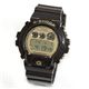 CASIO（カシオ） 「G-SHOCK 海外モデル」 「Garish Gold Series（ガリッシュゴールドシリーズ）」 DW6900BR-5 - 縮小画像1