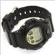 CASIO（カシオ） 「G-SHOCK 海外モデル」 Crazy Colors（クレイジーカラーズ） DW-6900PL-1 DW6900PL-1 - 縮小画像2