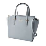 Kate Spade(ケイトスペード) PXRU5491 319 2WAY ショルダー ハンドバッグ CEDAR STREET small hayden