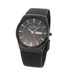 SKAGEN(スカーゲン) SKW6006 メンズ 腕時計 メッシュストラップ