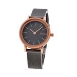 SKAGEN (スカーゲン) SKW2492 レディース 腕時計