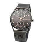 SKAGEN （スカーゲン） SKW6180 メンズ 腕時計 デイデイトカレンダー メッシュストラップ