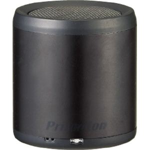 プリンストンテクノロジー Bluetoothワイヤレスミニスピーカー BLUETUBE(ブラック) PSP-BTS1B
