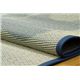 モンステラ柄 い草ラグカーペット 『D×モーリア』 ブルー 約191×191cm（裏：不織布） - 縮小画像2