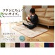 フィラメント素材 ホットカーペット対応ルームマット 『フィリップ』 イエロー 92×130cm