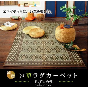 純国産/日本製 袋三重織 い草ラグカーペット 『Fアンカラ』 ブラウン 約191×191cm（裏：ウレタン） - 拡大画像