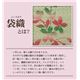 純国産/日本製 袋織 い草ラグカーペット 『桜吹雪』 約176×176cm - 縮小画像6