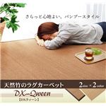ふっくら 竹カーペット シンプル モダン 『DXクィーン』 ブラウン 180×180cm