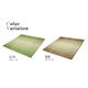 ふっくらボリューム グラデーションい草ラグカーペット 『NSPマレ』 グリーン 200×250cm （裏：滑りにくい加工） - 縮小画像4