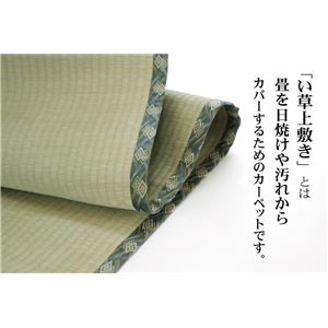 m) : 家具・インテリア 熊本県八代産イ草使用 超特価新品