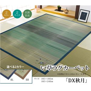 い草ラグカーペット 和風 グラデーション 『DX秋月』 ベージュ 約185×185cm - 拡大画像