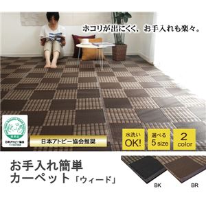 洗える PPカーペット 『ウィード』 ブラウン 江戸間6畳（261×352cm）