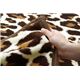 毛布 シングル 寝具 豹柄 サンゴマイヤー 『レオパードS IT』 ブラウン 約140×200cm - 縮小画像6