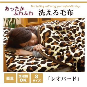 毛布 セミダブル 寝具 豹柄 サンゴマイヤー 『レオパードSD IT』 ブラウン 約160×200cm セミダブル  商品画像