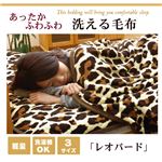 毛布 セミダブル 寝具 豹柄 サンゴマイヤー 『レオパードSD IT』 ブラウン 約160×200cm セミダブル