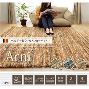 ベルギー製 ウィルトン織り カーペット 絨毯 『アーニ RUG』 グリーン 約200×250cm 商品画像