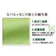 枕カバー 洗える ヒバエッセンス使用 『ひばピロケース』 グリーン 約28×39cm - 縮小画像4
