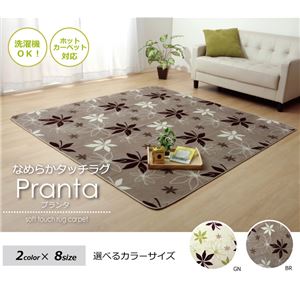 ラグマット カーペット 2畳 洗える 抗菌 防臭 『WSプランタ』 ブラウン 約185×185cm (ホットカーペット対応) ラグマット カーペット 2畳 洗える 抗菌 防臭 『WSプランタ』 ブラウン 約185×185cm (ホットカーペット対応)