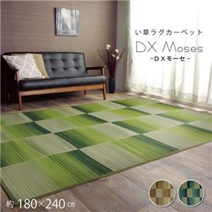 い草ラグ おしゃれ コンパクト シンプル カーペット 『DXモーセ』 ブラウン 約180×240cm