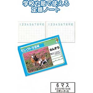 学習帳K-1さんすう6マス 【10個セット】 31-371 商品画像