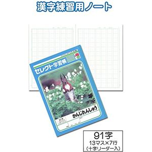 学習帳K-50かんじれんしゅう91字 【10個セット】 32-816 商品画像