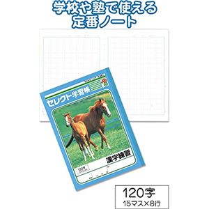 学習帳K-50-3漢字練習 120字 【10個セット】 31-366 商品画像