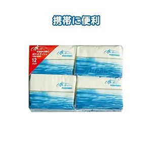 日清紡 水に流せるポケットティッシュ10W（12P） （80パック×1ケース）80パック セット u30-679