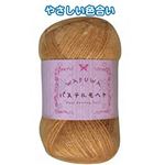 WAFUWA パステルモヘア25g6薄茶 【5個セット】 23-517