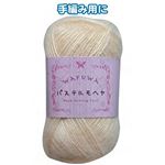 WAFUWA パステルモヘア25g9薄ベージュ 【5個セット】 23-520