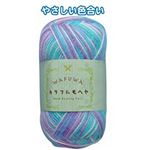 WAFUWA カラフルモヘア25g3水色紫白 段染 【5個セット】 23-524